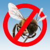 no bees