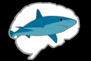 Shark Brain